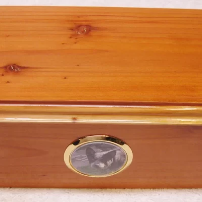 Large pet cremation picture urn - Hand made