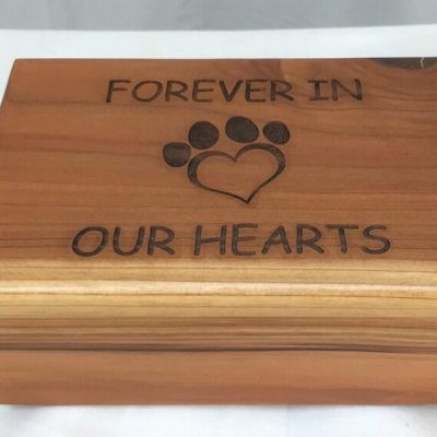 Medium Laser Engraved Pet Cremation Urn