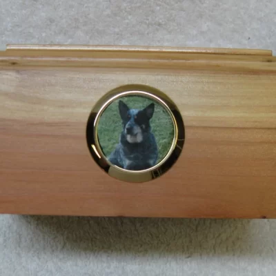 Small wood pet cremation urn, Picture urn